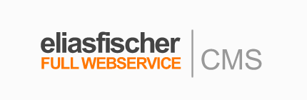 Logo Webdesign Content Management System