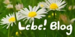 LebeBlog
